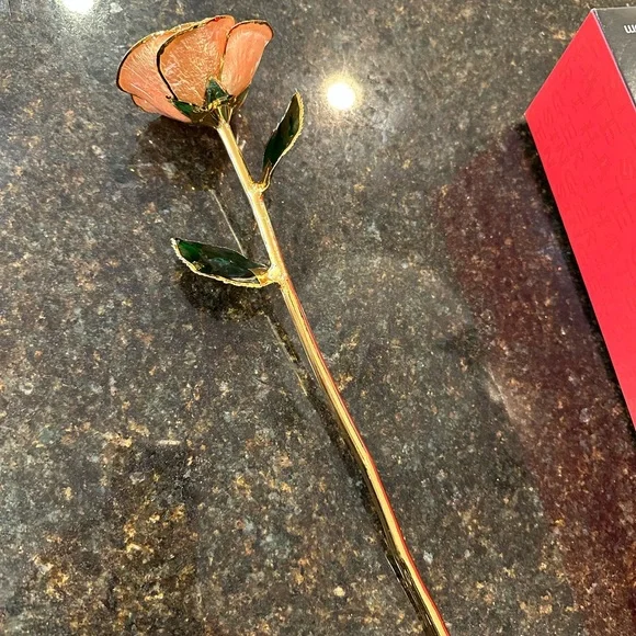 24kt gold dipped rose “Blush”